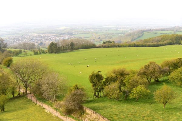 worcestershire england james harwood bingwallpaper tower